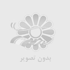 دستگاه شیرینگ پگ